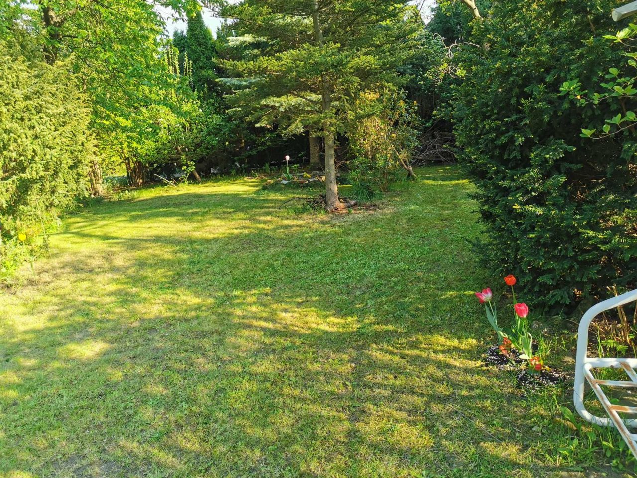 Działka rod Szczaki. Zdjęcie 7