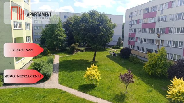 Mieszkanie 2-pokojowe Milicz, ul. Tadeusza Kościuszki. Zdjęcie 12