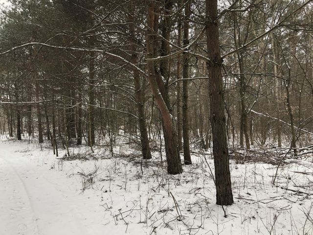Działka budowlana Ostrowik, Marsa. Zdjęcie 1