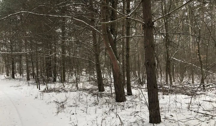 Działka budowlana Ostrowik, Marsa