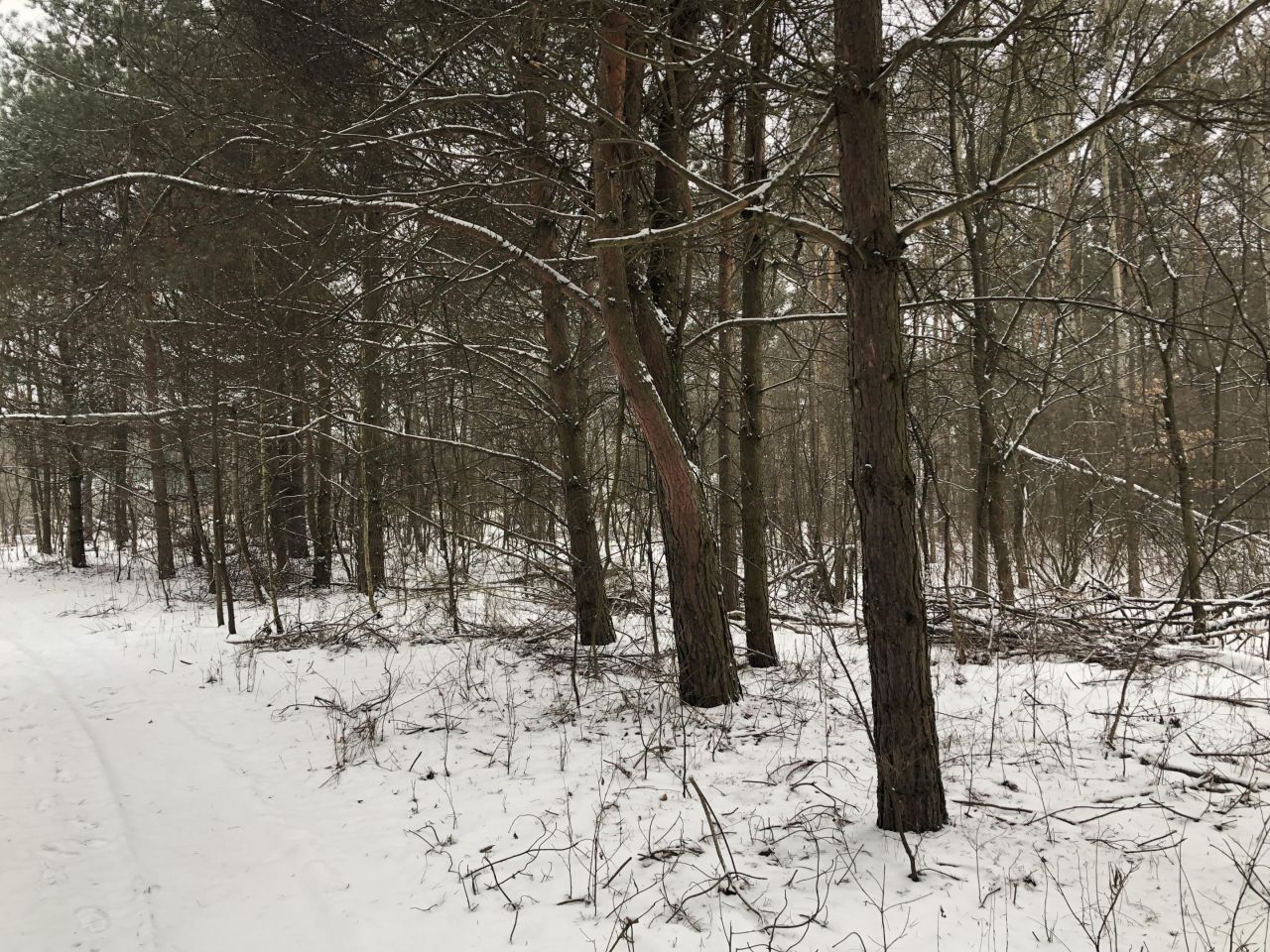 Działka budowlana Ostrowik, Marsa. Zdjęcie 1