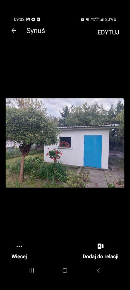 Działka rod Polkowice, ul. Ogrodowa. Zdjęcie 3