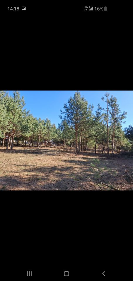 Działka rolno-budowlana Kolonia. Zdjęcie 2