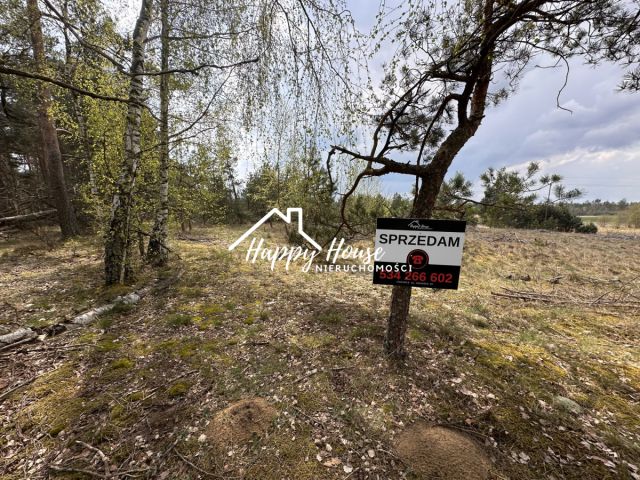 Działka inwestycyjna Czyczkowy. Zdjęcie 6