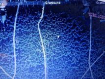 Działka leśna Józefów Kolonia Błota, ul. Ejsmonda