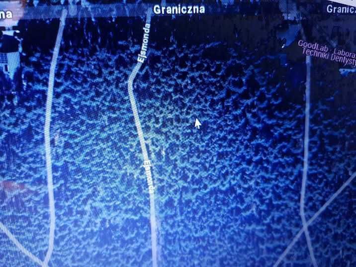 Działka leśna Józefów Kolonia Błota, ul. Ejsmonda