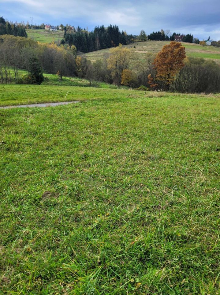 Działka budowlana Wysoka. Zdjęcie 6