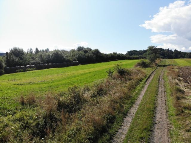 Działka budowlana Stary Wielisław. Zdjęcie 5