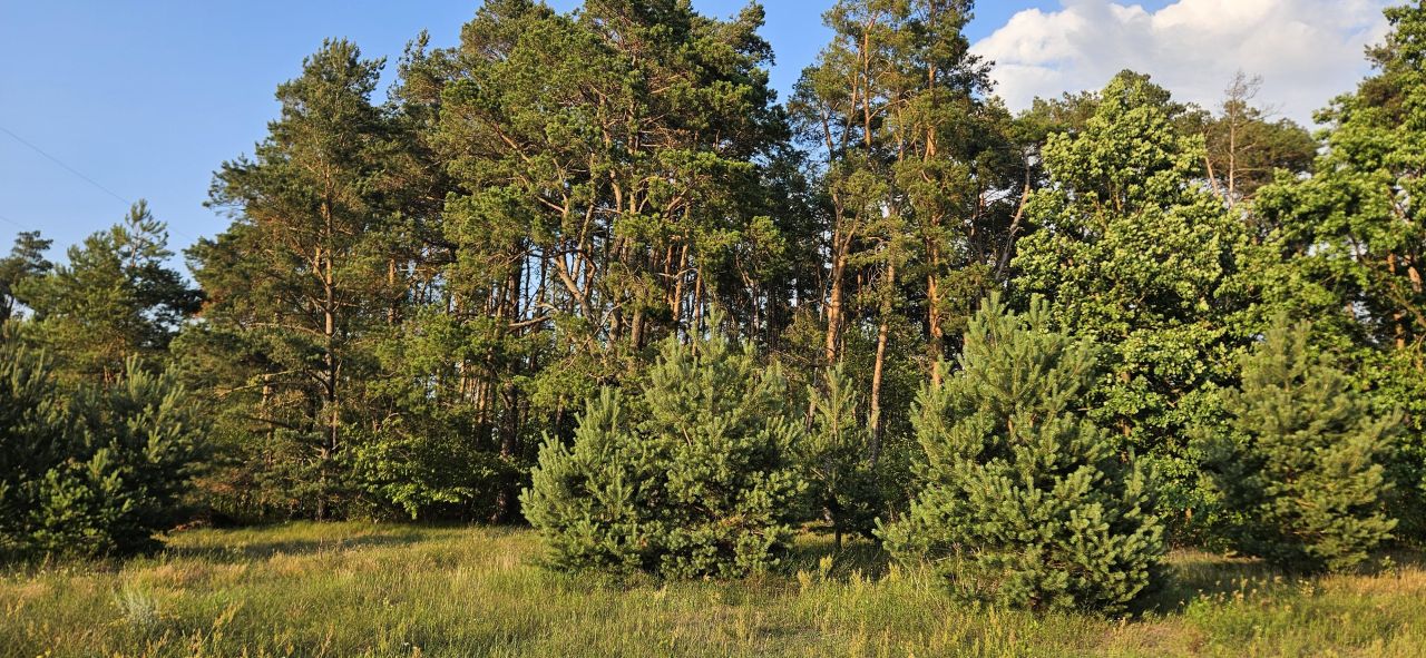 Działka budowlana Probostwo Dolne. Zdjęcie 8