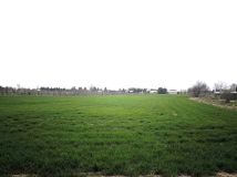 Działka budowlana Płoskie. Zdjęcie 2