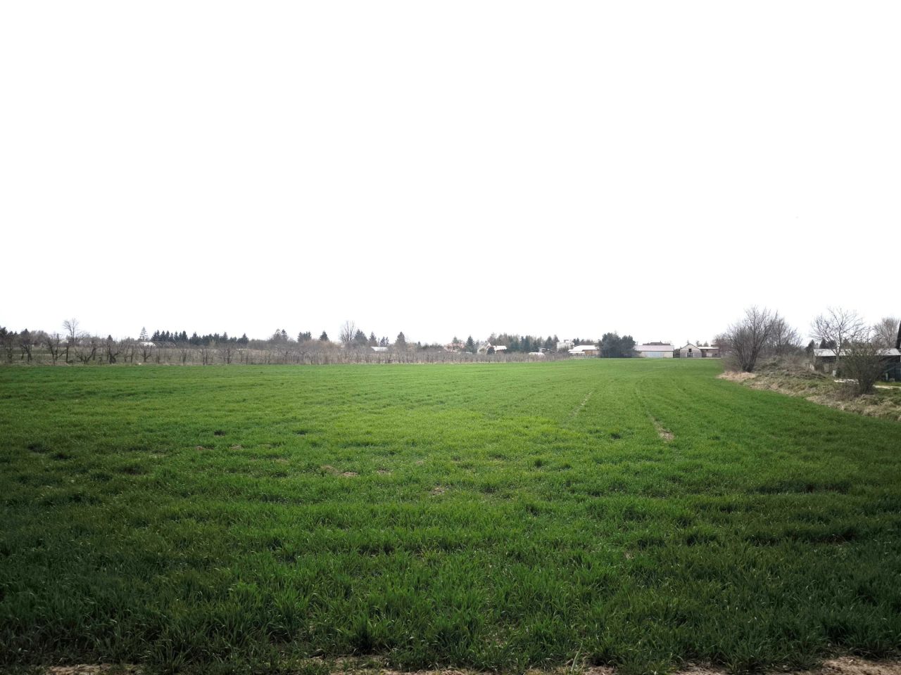 Działka budowlana Płoskie. Zdjęcie 3