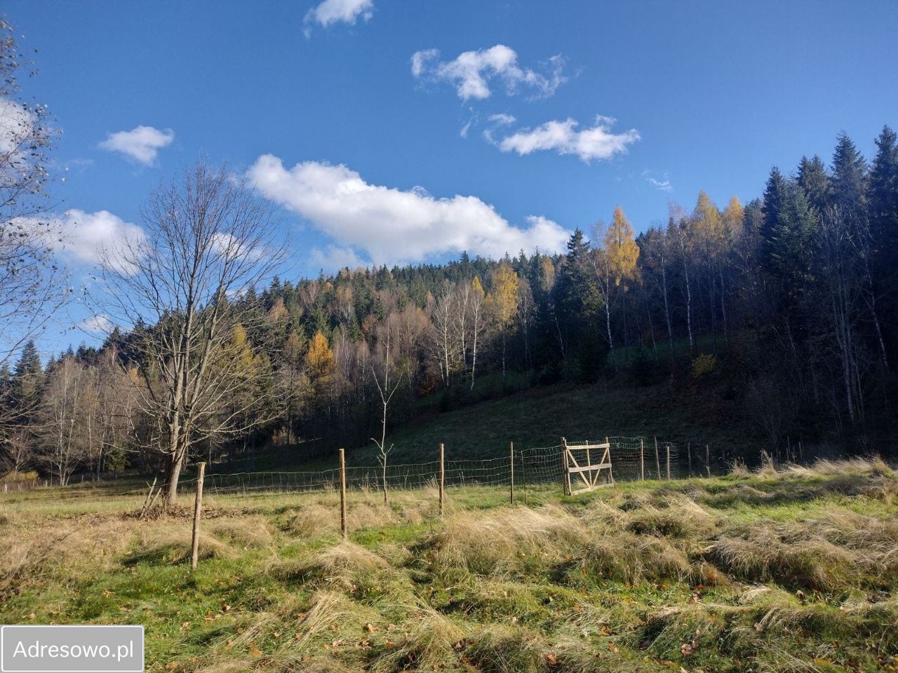 Działka rekreacyjna Szczawa. Zdjęcie 5