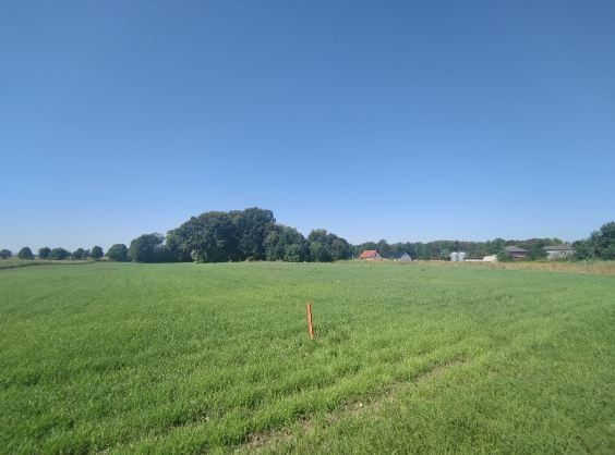 Działka siedliskowa Stary Śleszów. Zdjęcie 3