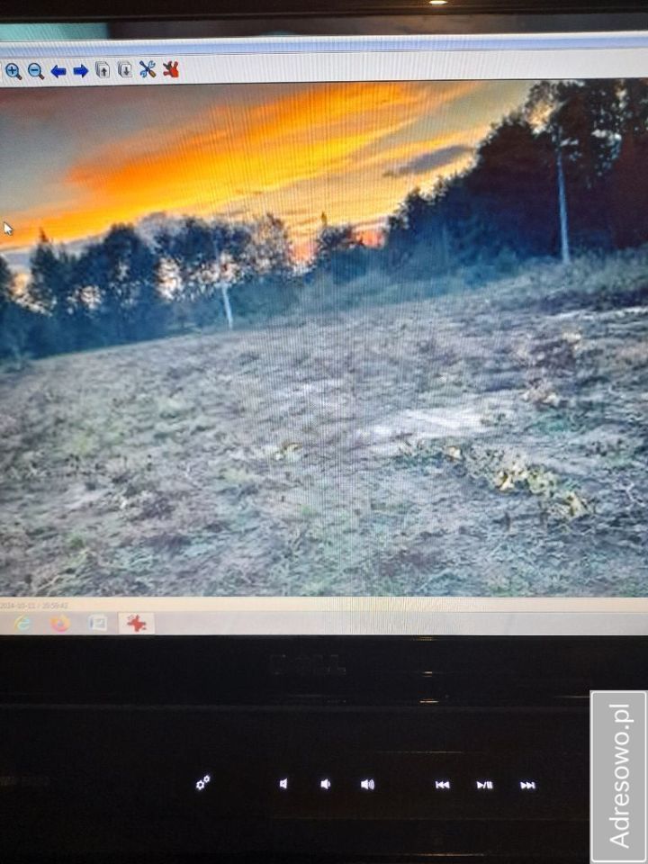 Działka siedliskowa Świniary. Zdjęcie 2