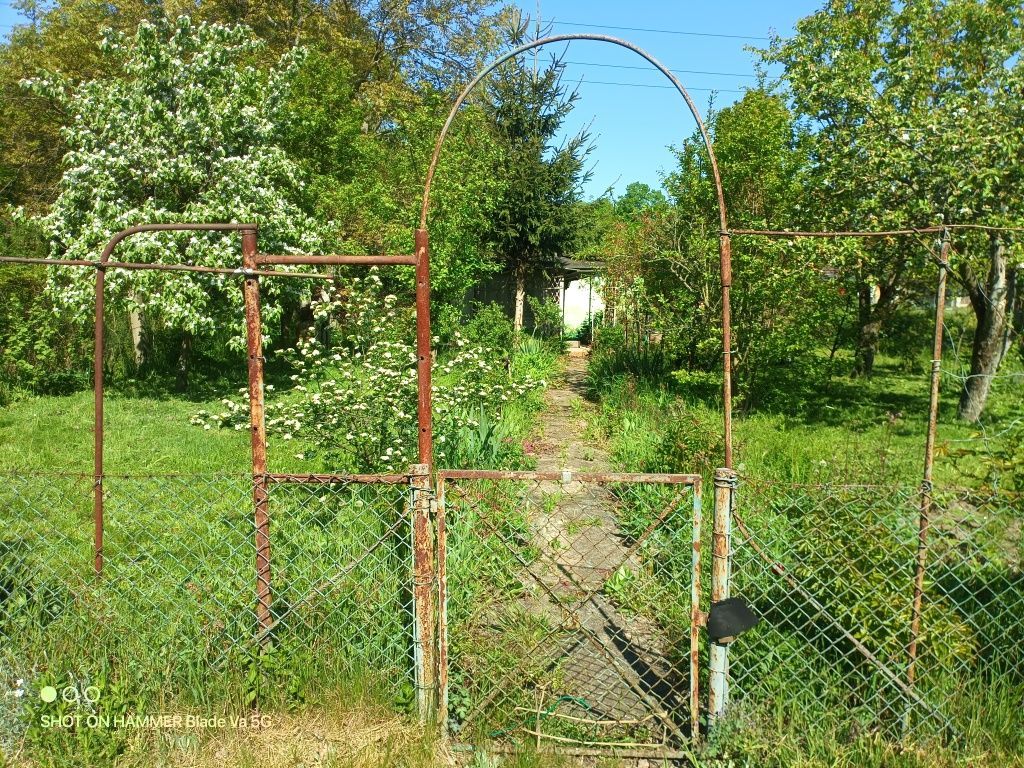 Działka rod Wrocław Psie Pole. Zdjęcie 7