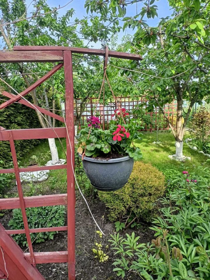 Działka rod Gniezno. Zdjęcie 7