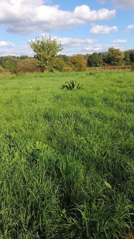 Działka rolna Warszawa Wilanów. Zdjęcie 2