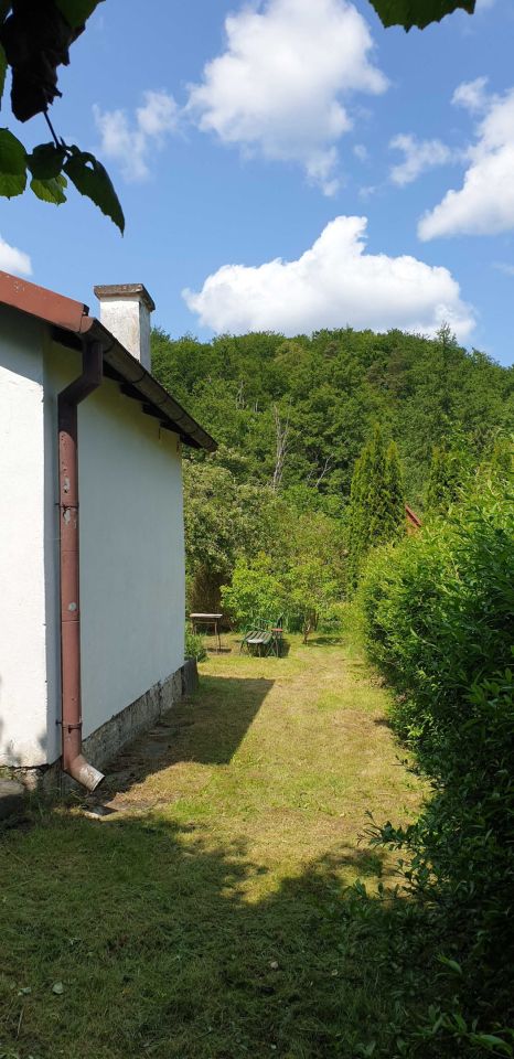 Działka rod Gdańsk Oliwa, ul. Bytowska. Zdjęcie 6