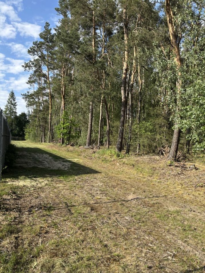 Działka budowlana Polków-Daćbogi. Zdjęcie 7
