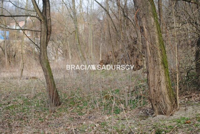 Działka leśna Malkowice. Zdjęcie 4