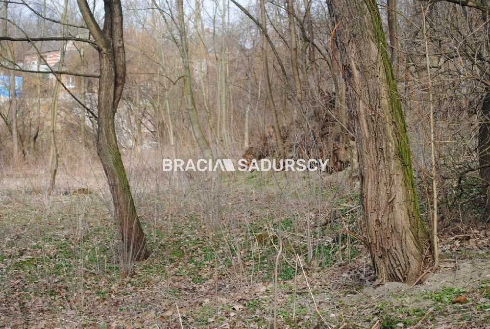 Działka leśna Malkowice. Zdjęcie 4