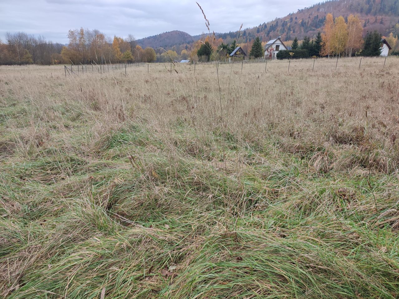 Działka budowlana Kamienna. Zdjęcie 6