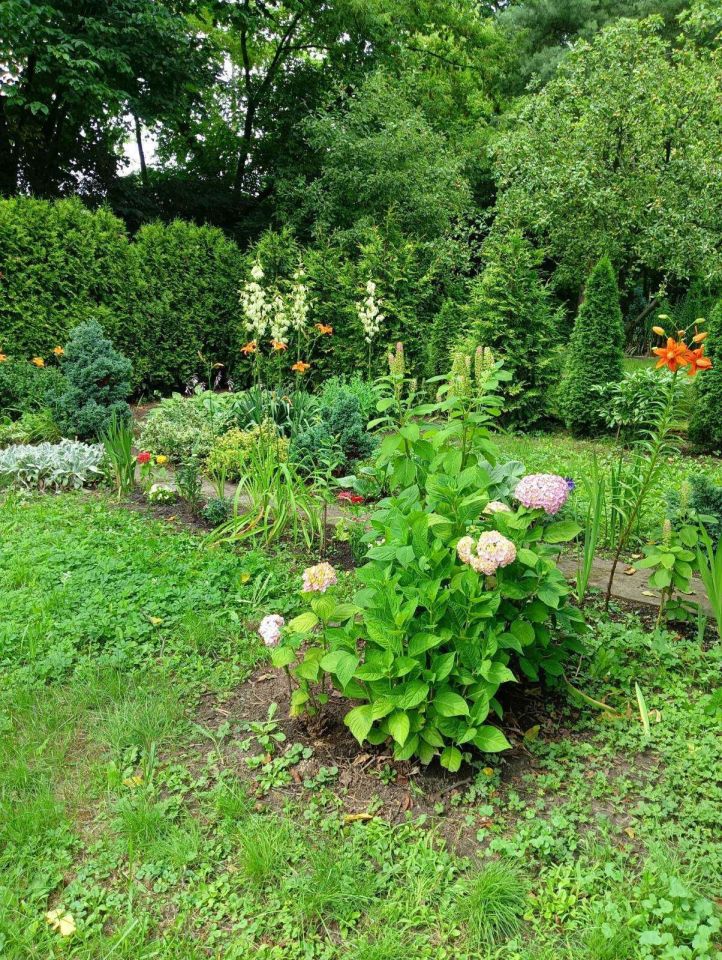 Działka rod Będzin, ul. Małobądzka. Zdjęcie 2