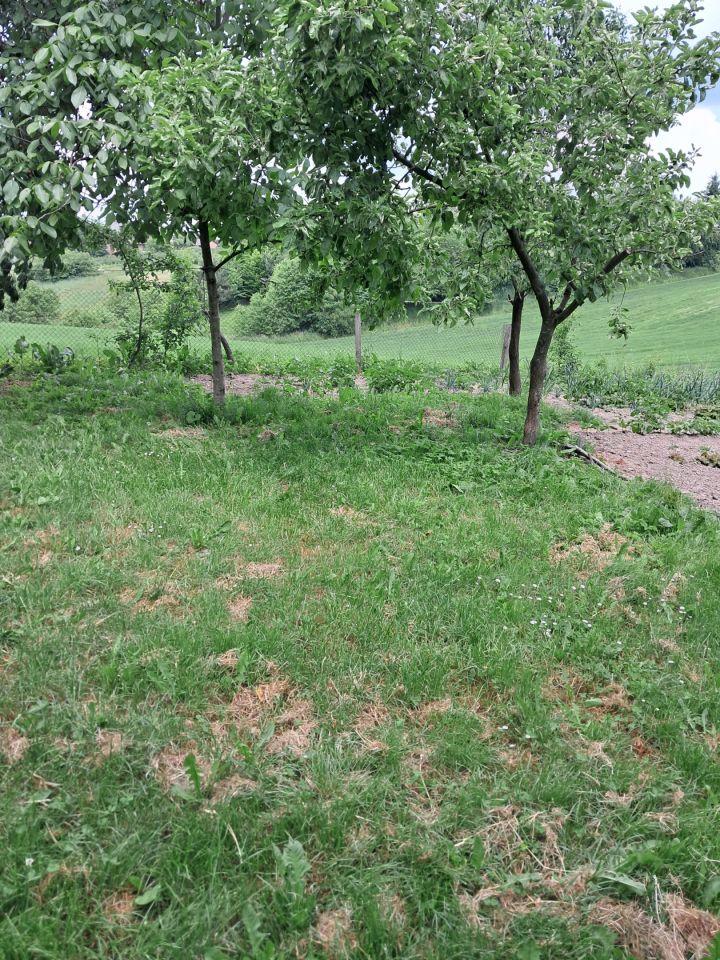 gospodarstwo, 2 pokoje Orchowiec. Zdjęcie 7