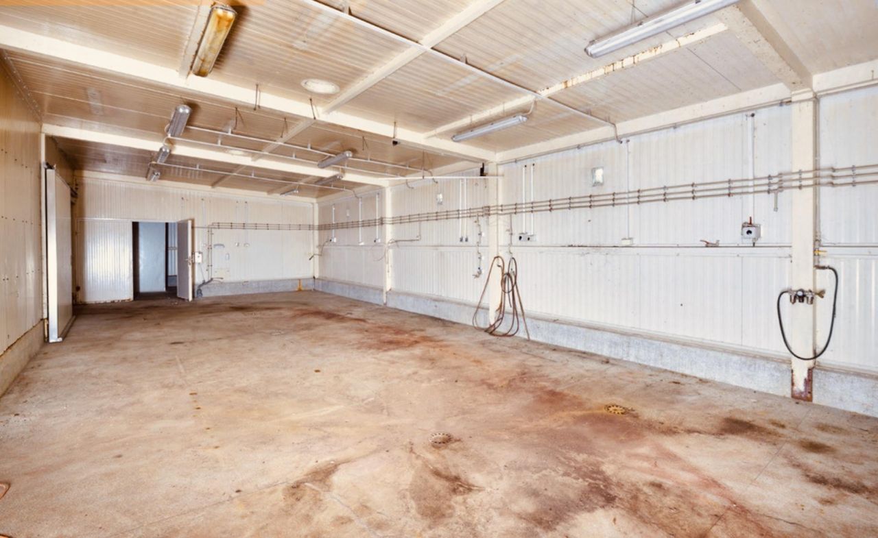 Hala/magazyn Zalesie Górne, ul. Droga Dzików. Zdjęcie 2