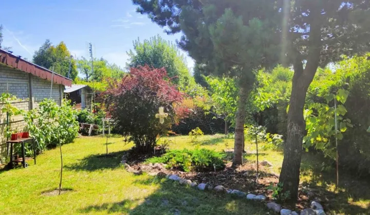 Działka rod Ostrów Wielkopolski, ul. Gorzycka