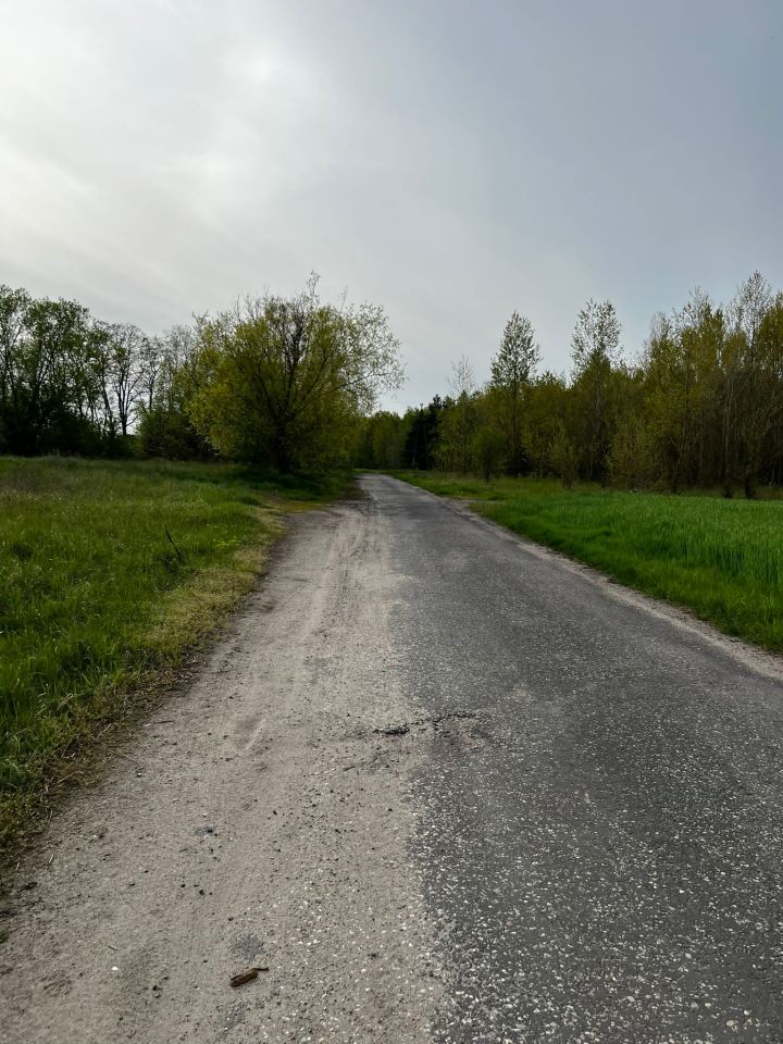 Działka rolna Kolsko, Kolsko. Zdjęcie 9