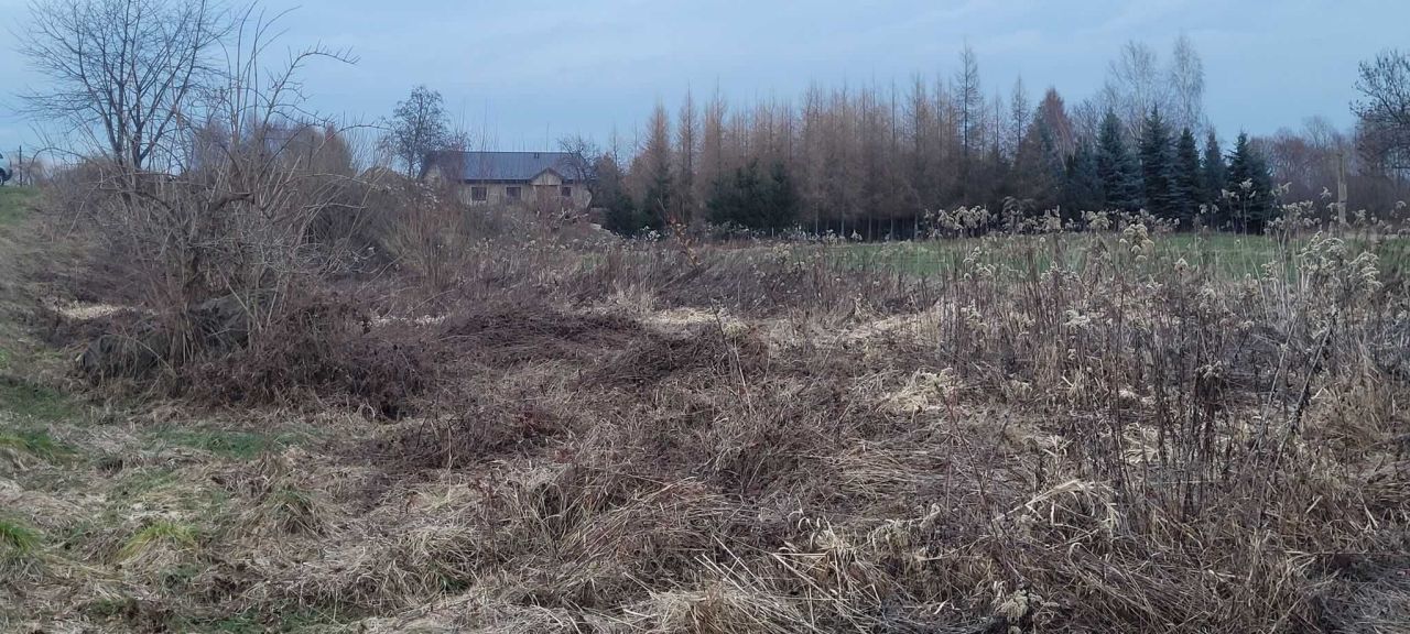 Działka rolno-budowlana Stanisławice. Zdjęcie 2