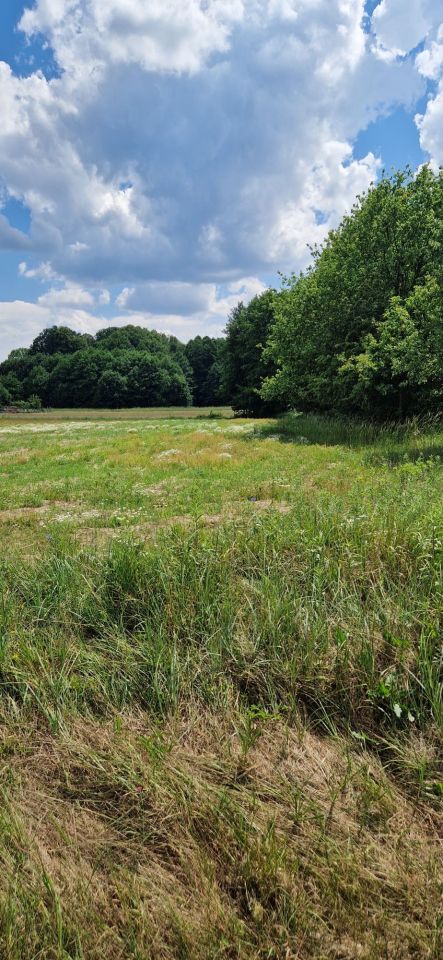 Działka siedliskowa Bukowinka. Zdjęcie 3