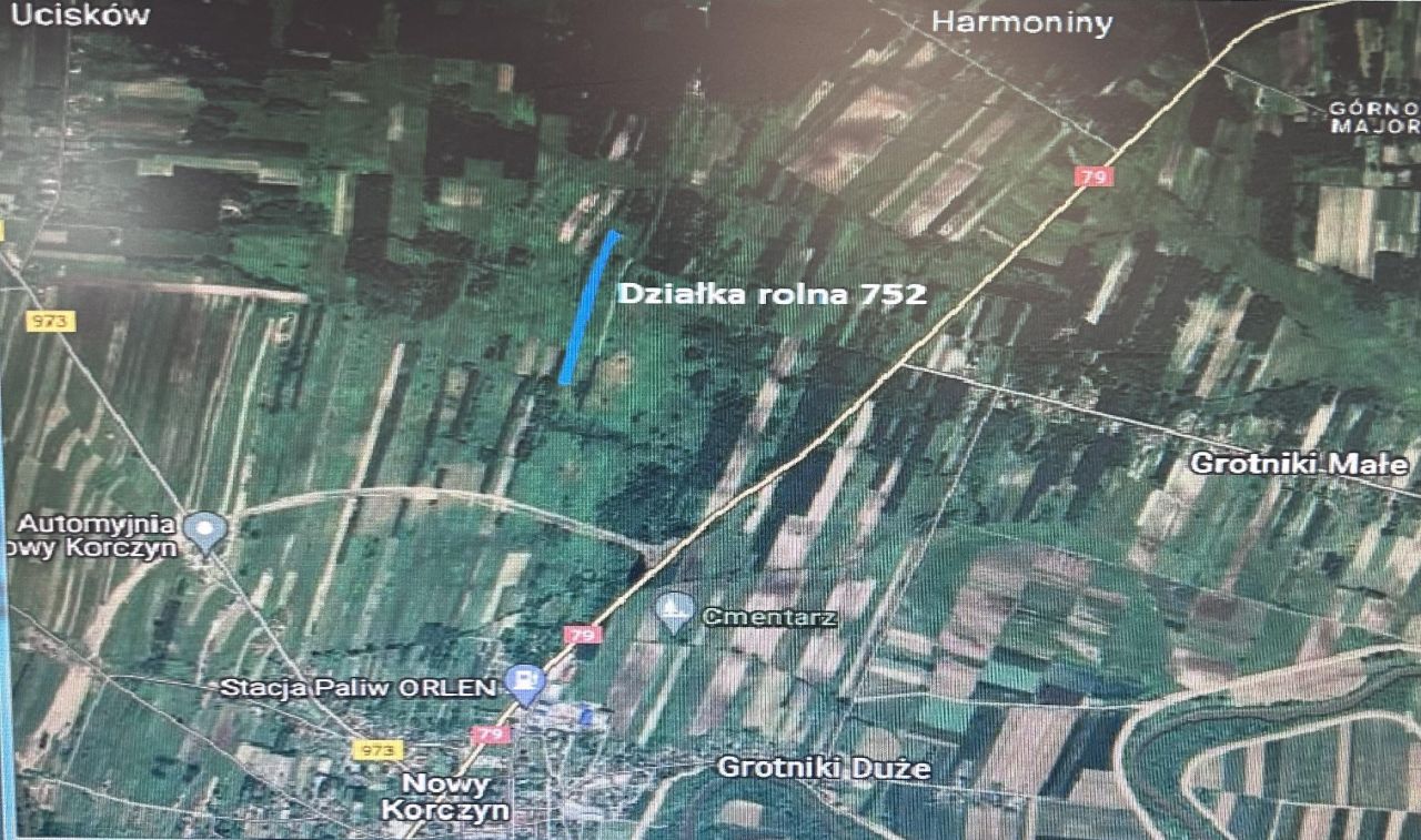 Działka leśna Nowy Korczyn. Zdjęcie 2