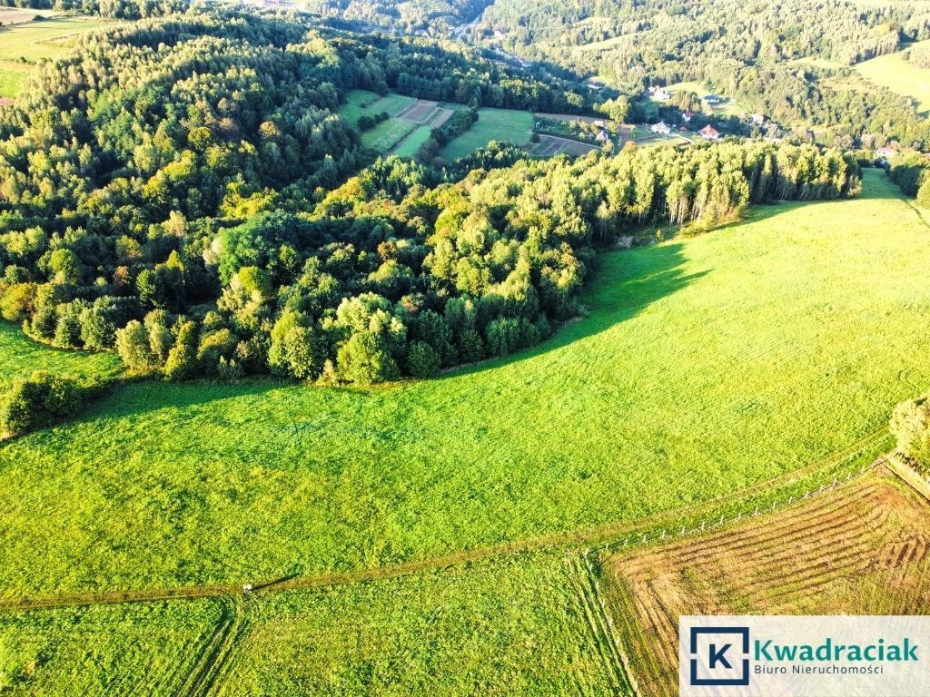 Działka rolna Lutcza. Zdjęcie 3