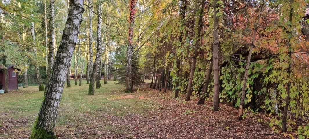 Działka budowlana Komorów. Zdjęcie 5