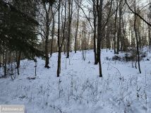 Działka rolna Świdnik. Zdjęcie 1