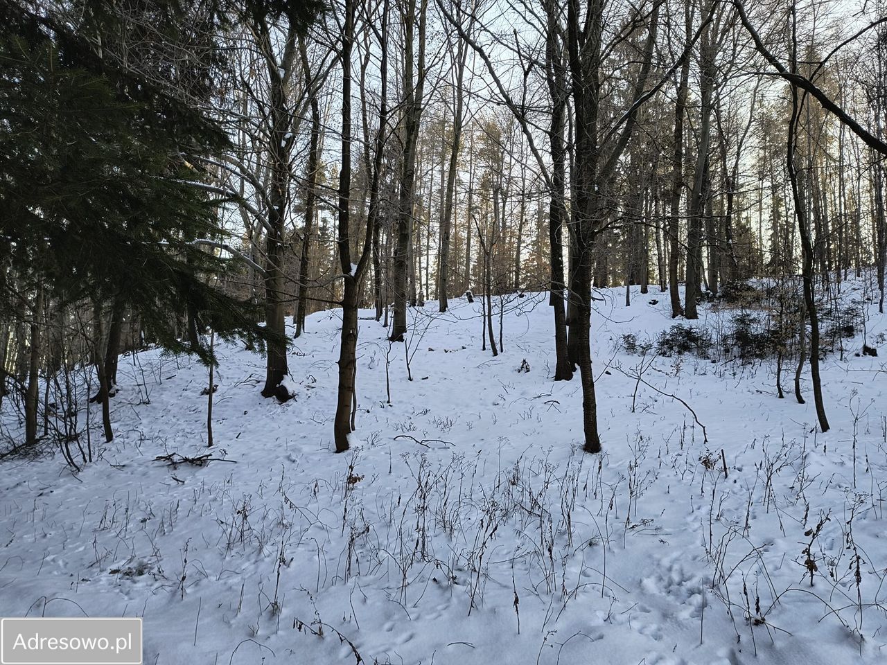 Działka rolna Świdnik. Zdjęcie 2