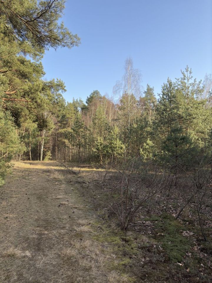 Działka budowlana Lisak. Zdjęcie 4