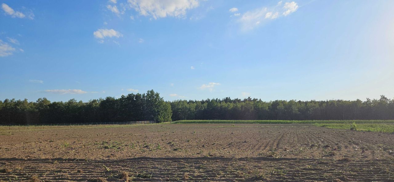 Działka budowlana Nowy Dwór. Zdjęcie 2