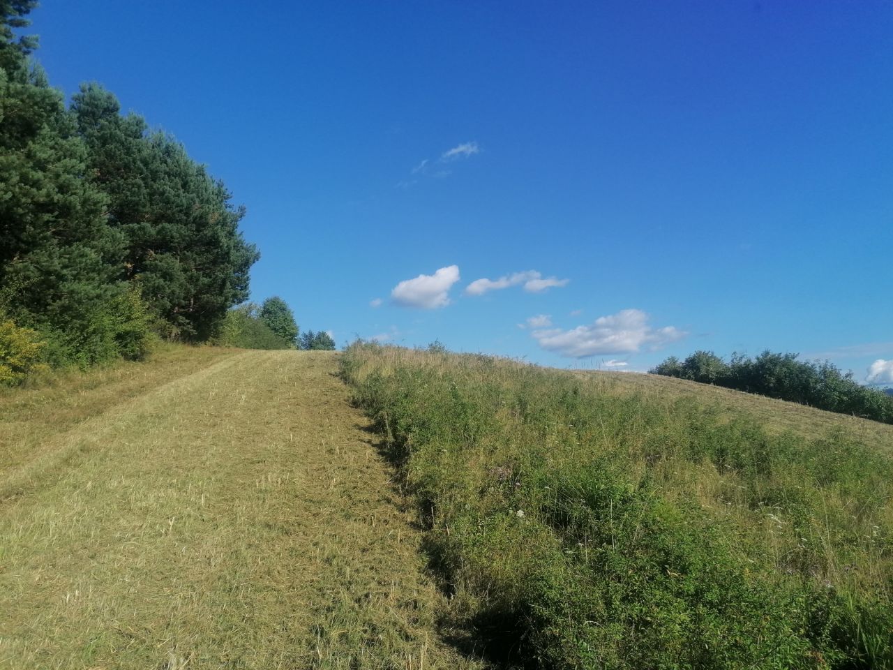 Działka rekreacyjna Rybotycze. Zdjęcie 46