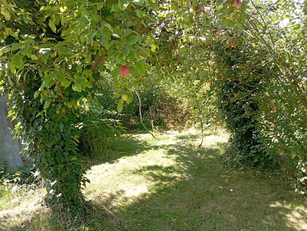 Działka rod Wieluń, ul. Elizy Orzeszkowej. Zdjęcie 6