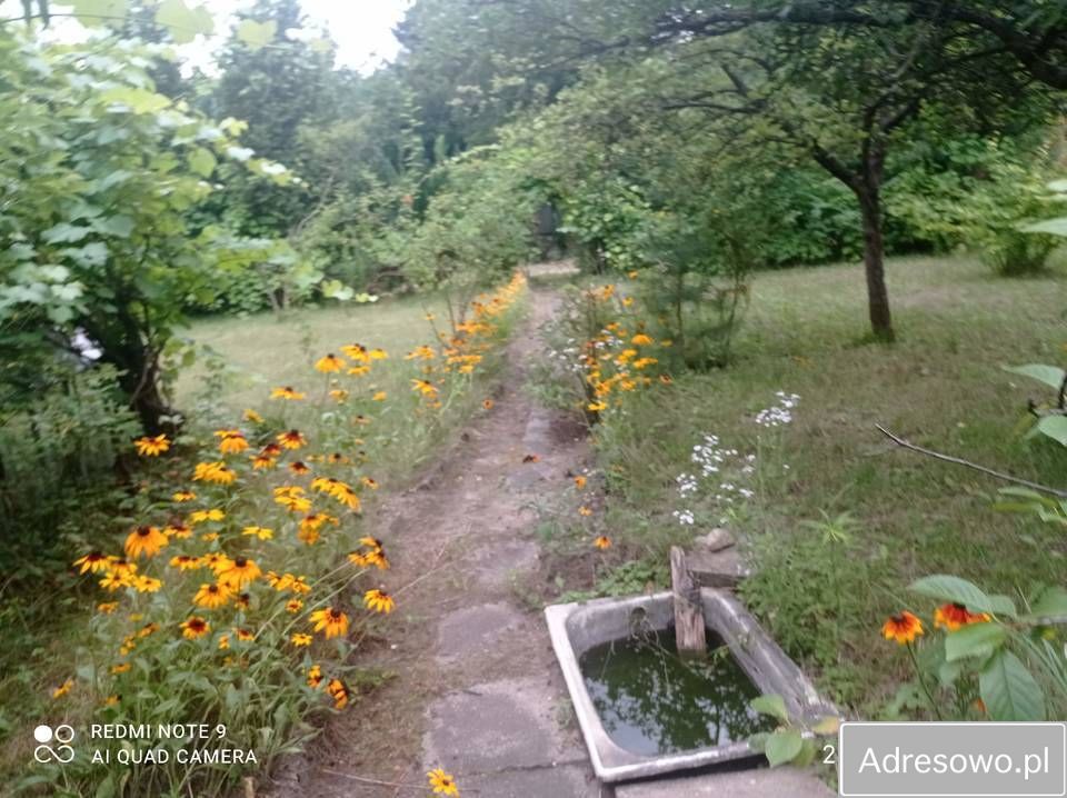 Działka rod Łódź, ul. Żeńców. Zdjęcie 8