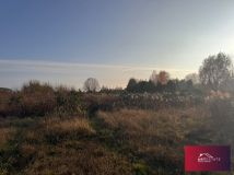 Działka siedliskowa Florentynów. Zdjęcie 4