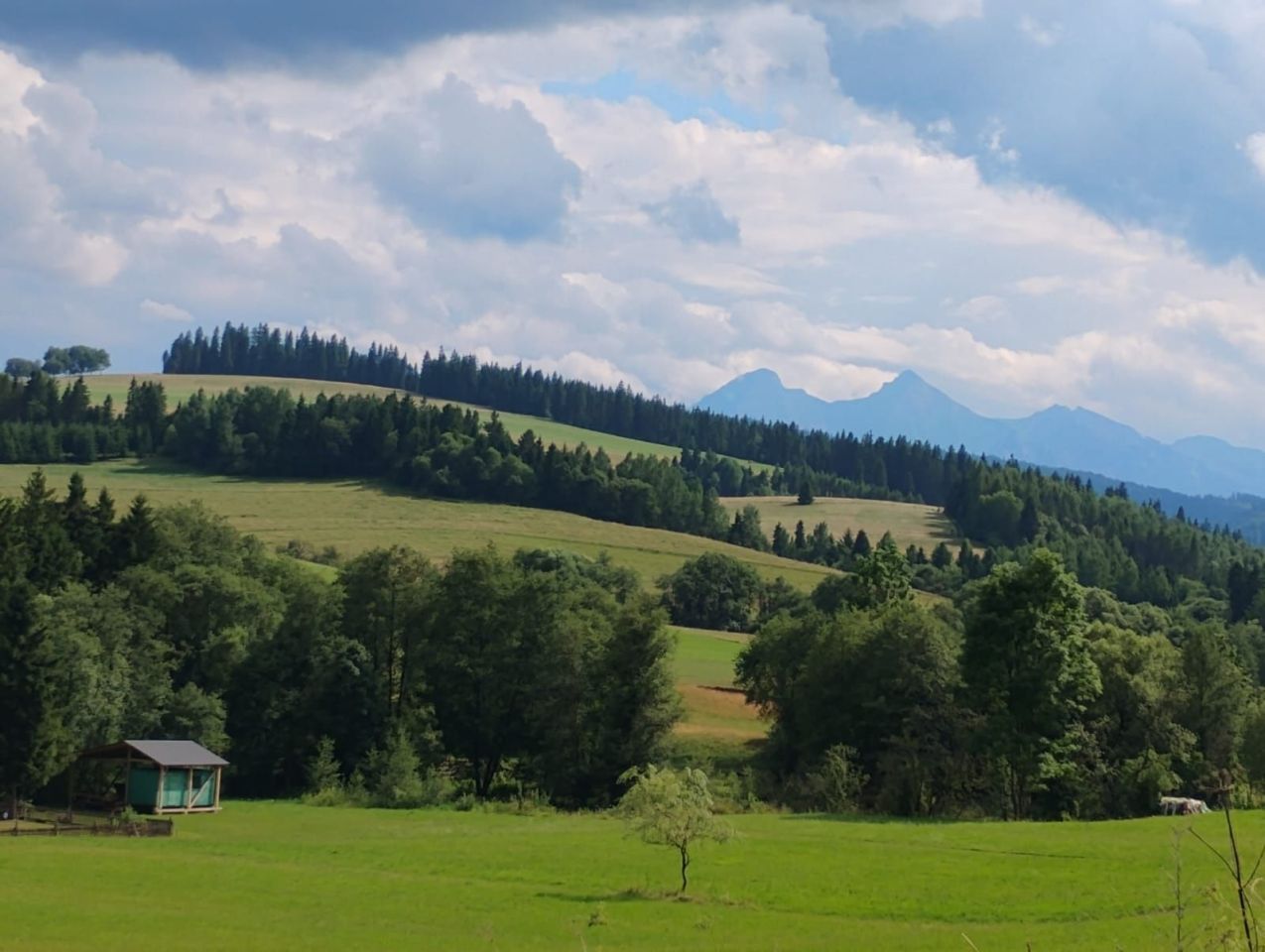 Działka rolna Niedzica. Zdjęcie 3