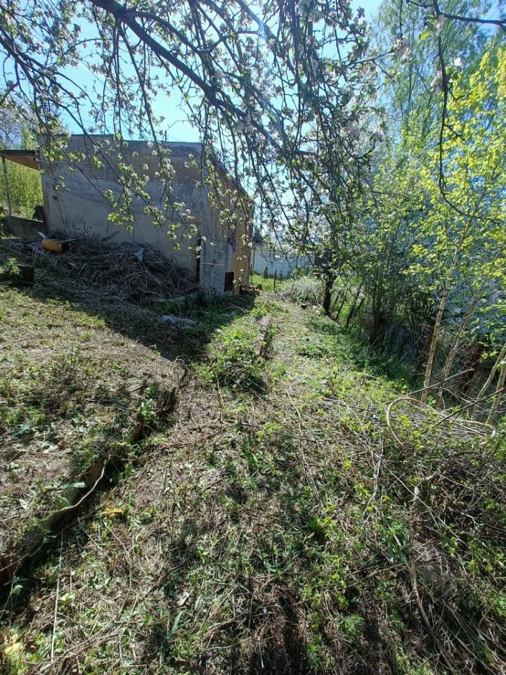 Działka rod Rożno-Parcele. Zdjęcie 7