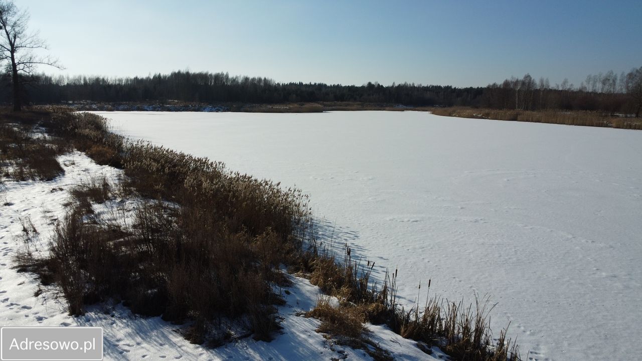 Działka inwestycyjna Starzechowice. Zdjęcie 3