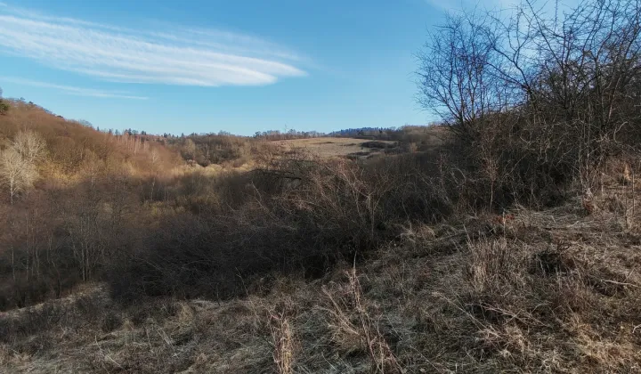 Działka rolna Olchowiec, Olchowiec