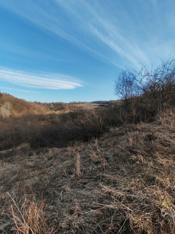 Działka rolna Olchowiec, Olchowiec. Zdjęcie 1