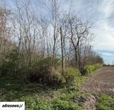 Działka rolno-budowlana Kwiatkowice-Kolonia. Zdjęcie 3